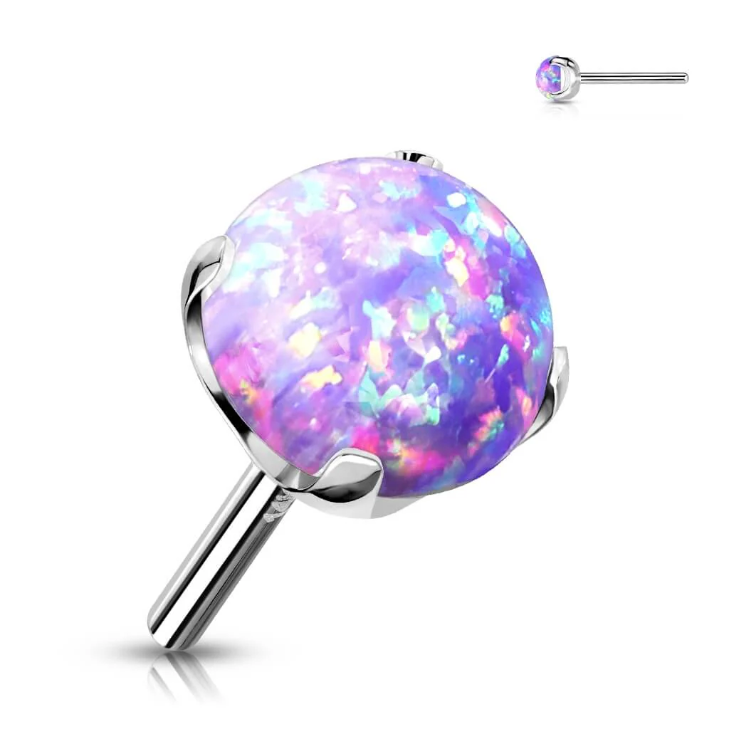 Thumbnail 7