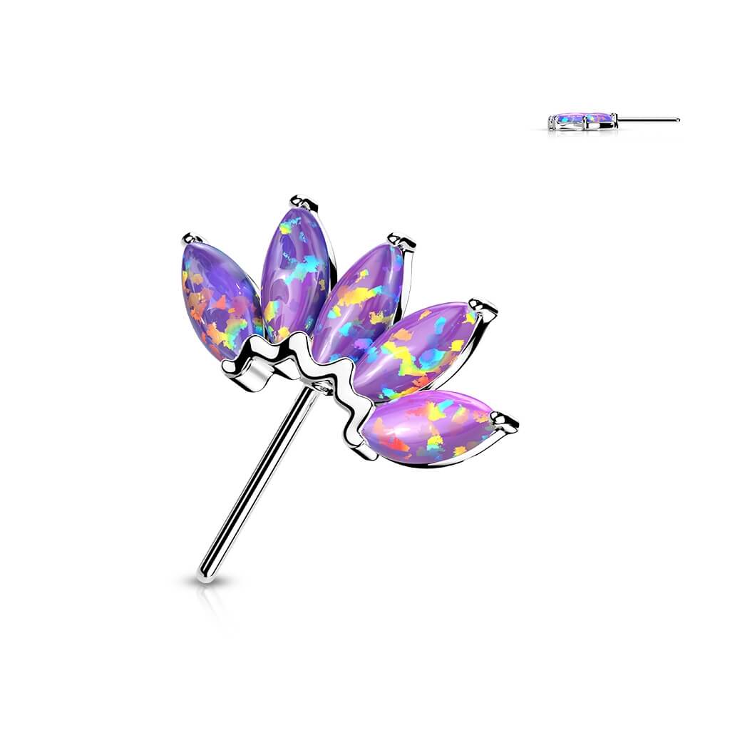 Thumbnail 7